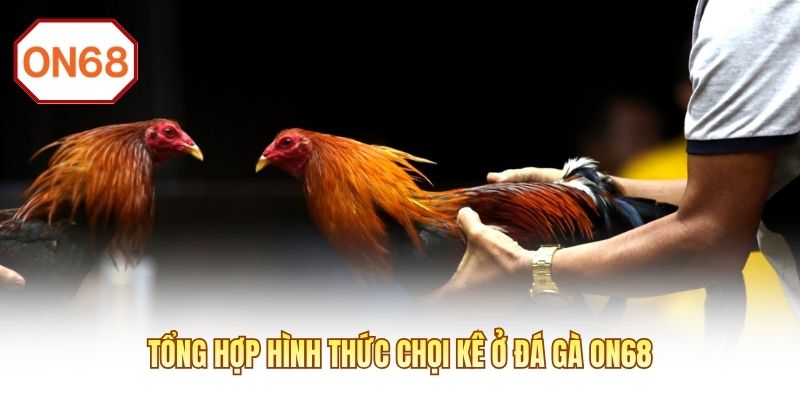 Tổng hợp hình thức chọi kê ở đá gà ON68